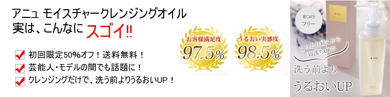 �A�j�����C�X�`���[�N�����W���O�I�C�����T�C�g